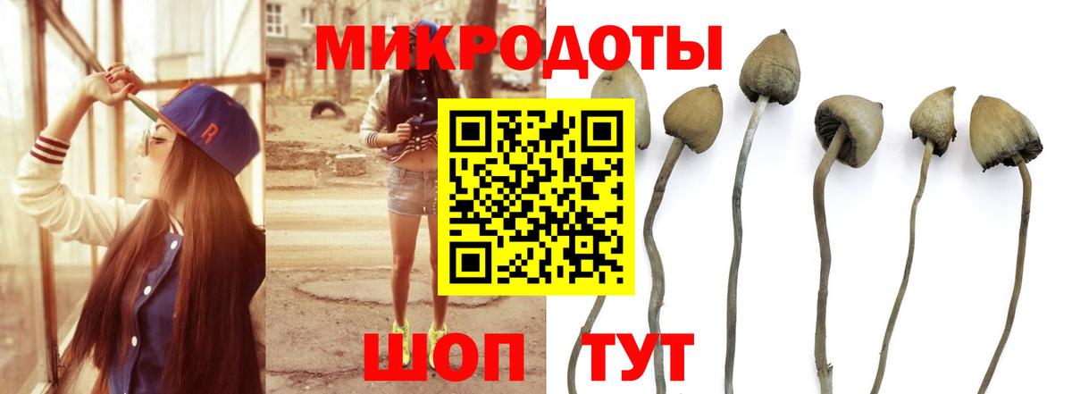 Пушкино  Галлюциногенные грибы GOLDEN TEACHER  Вход с VPN 