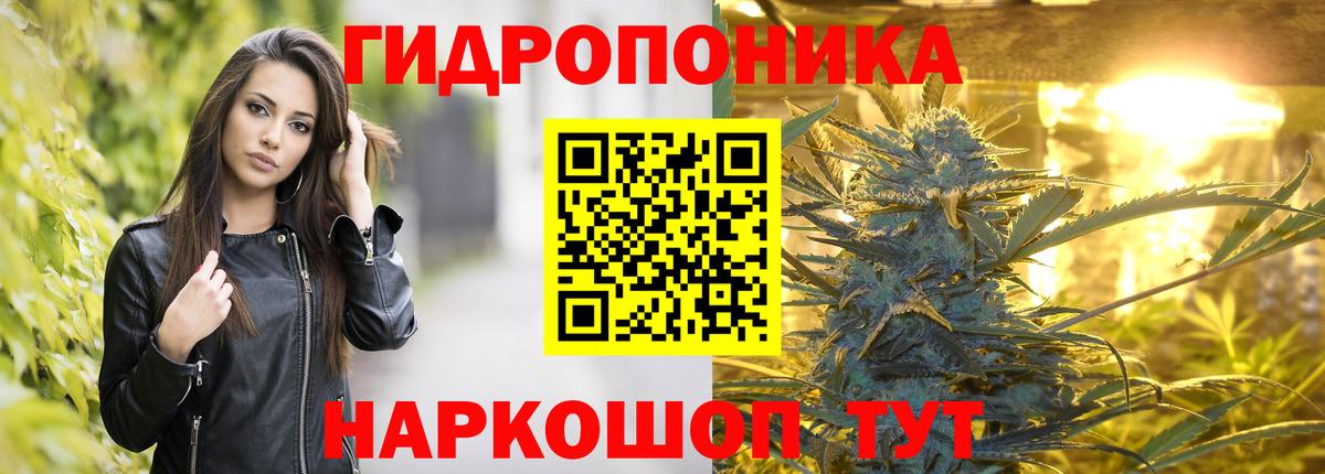 Конопля сатива Пушкино